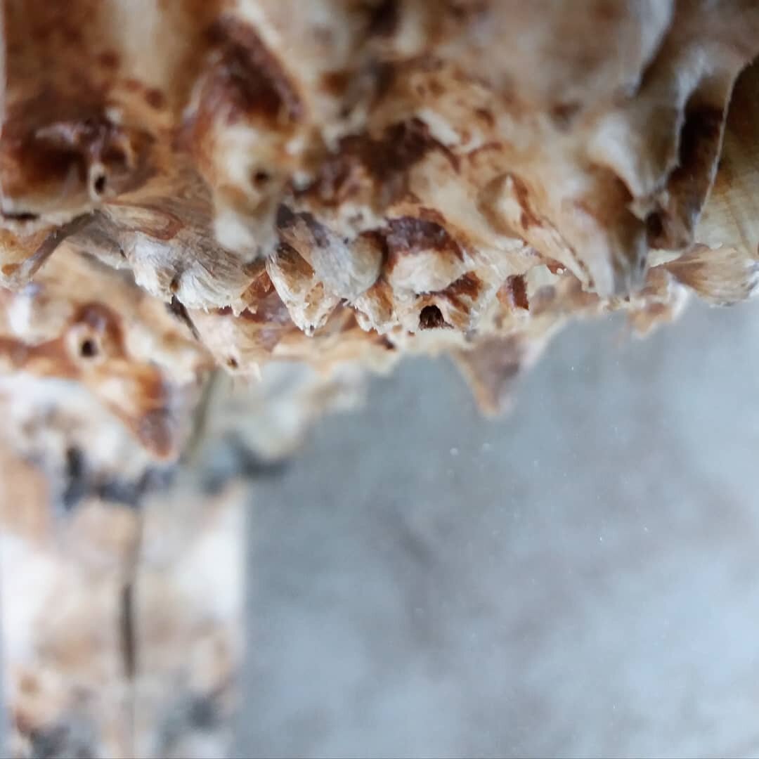 "Сталактиты преодолеваю шутя, и даже если зацеплюсь, нужно будет задержать дыхание и все. Разгерметизация не страшна для тренированного космогеолога, прошедшего процедуру замещения азота в крови."