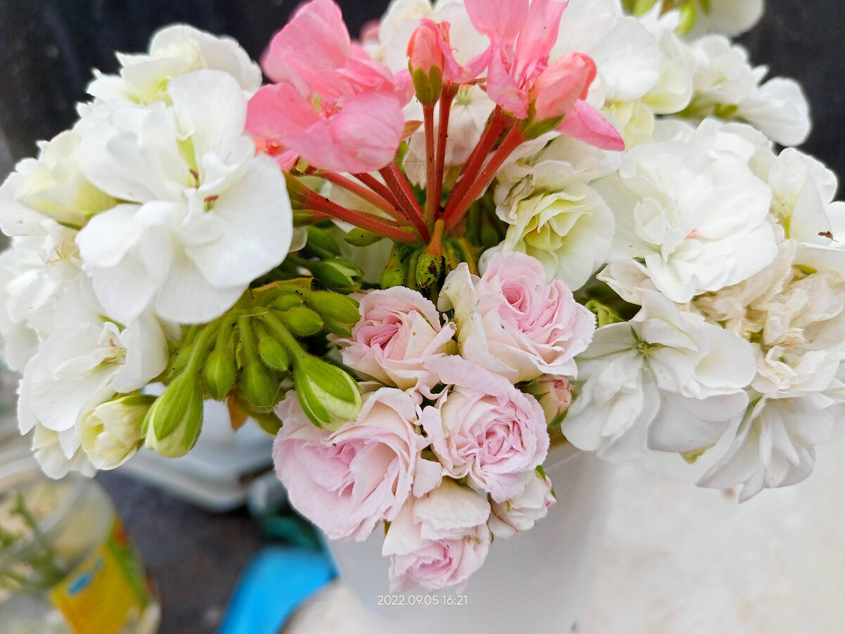 нежный букетик