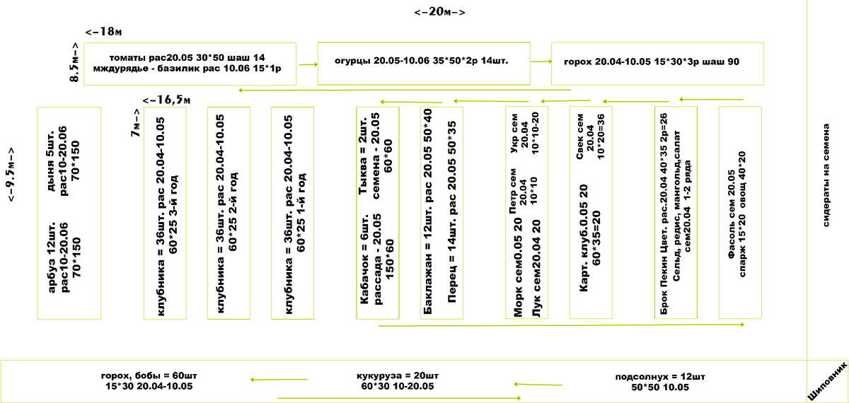 схема грядок - севооборот