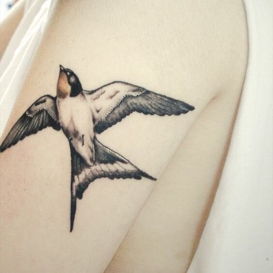 Тату птицы на руке для девушек — топ лучших женских татуировок с птицами