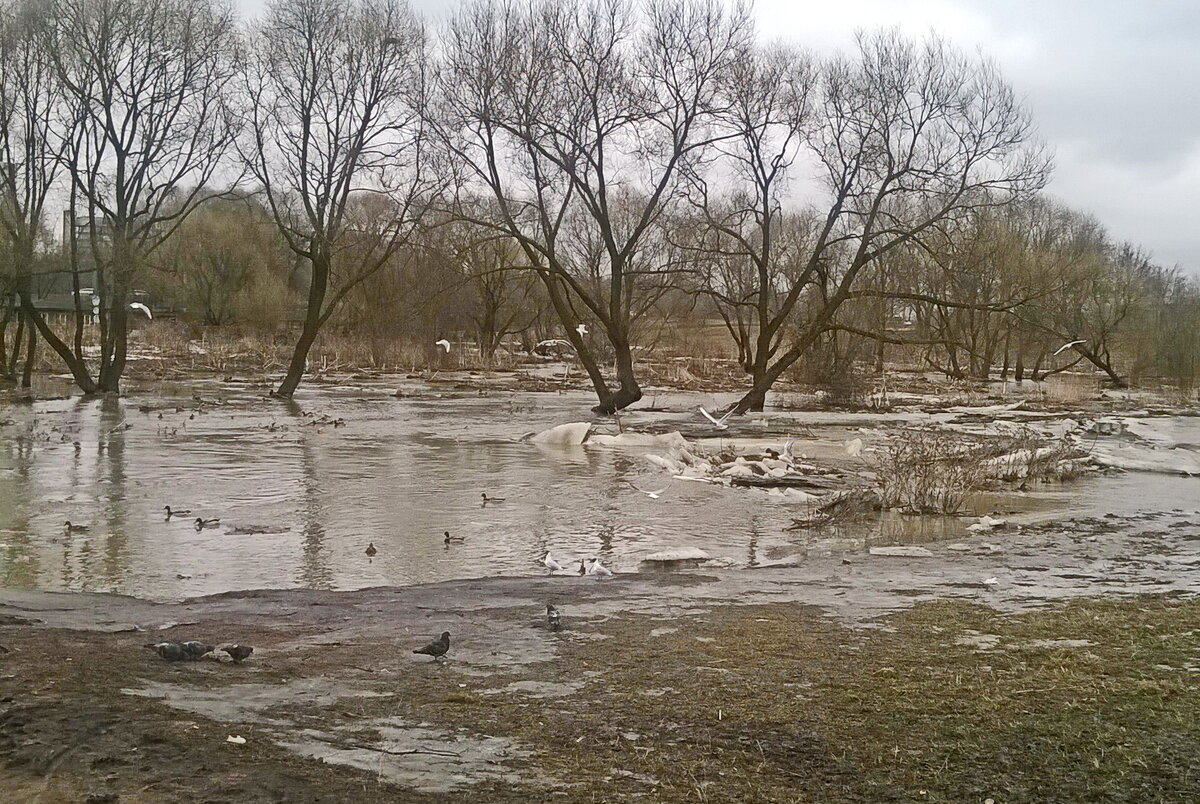 Мощно и завораживающе