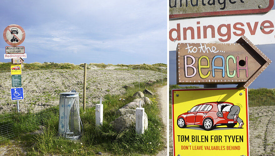 Скворечники для птиц, которые живут в городе