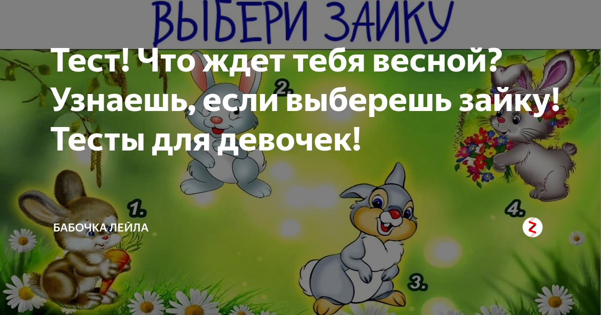 Выбирай зайка. Зайчик и зайчиха. Игра для детей зайка. Зайчик выборы. Выбирай зайка.