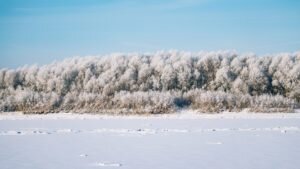 Первое, с чем ассоциируется Омск как сибирский город – это суровые морозы и длинные зимы.-2