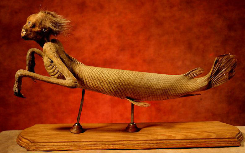 Мумия русалки