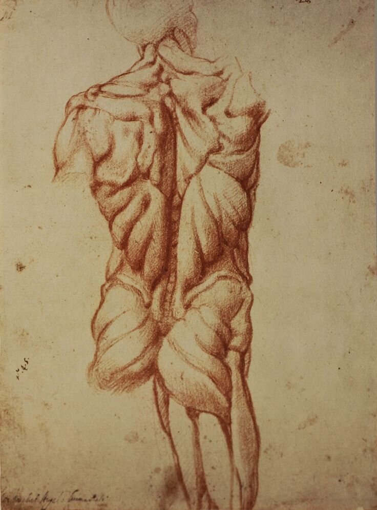 Представления о живших в эпоху Возрождения людях и об их портретных образах может быть искажены и не точны, если вдруг пройти мимо одного из основных титанов искусства – Микеланджело, о котором было-2