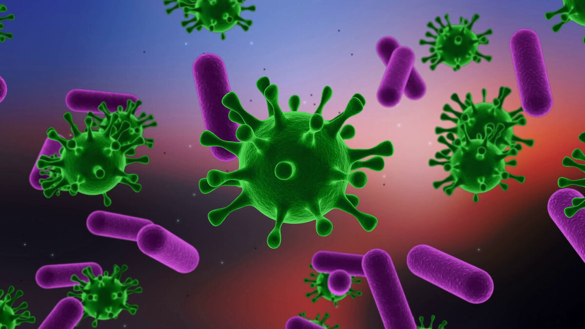 Фото вирусов и бактерий