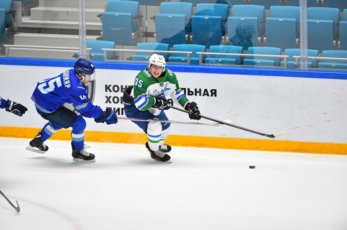 Снежные Барсы хоккейный клуб. Снежные Барсы Липецк. Снежные Барсы хк. Снежный Барс хоккей.