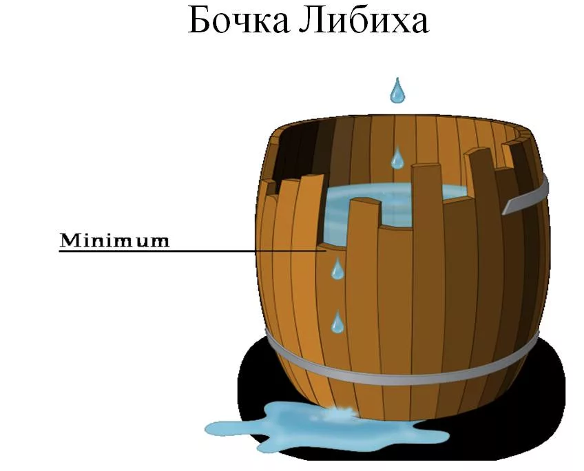 Бочка урожайности. Биология бочка Либиха. Экология бочка Либиха. Бочка Юстуса Либиха. Ограничивающий фактор бочка Либиха.