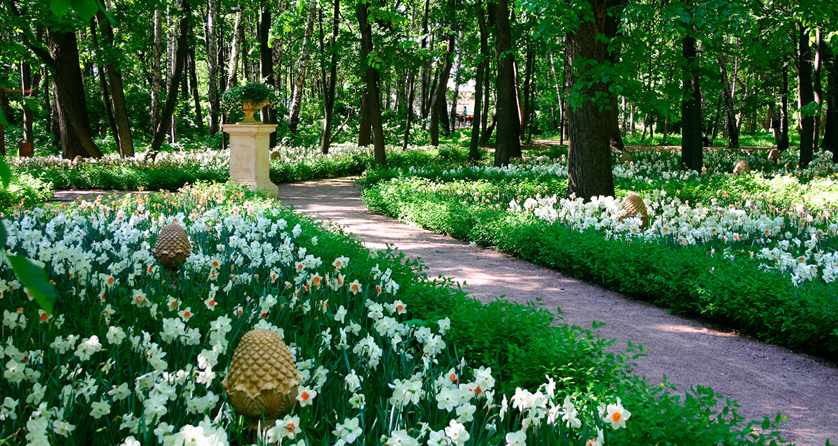 нескучный сад в москве. парк нескучный сад. беседка ротонда парк горького. москва нескучный сад нескучный сад. нескучный парк парк горького.