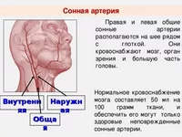 Добрый вечер друзья!  Сегодня продолжу о  таком осложнении как энцелофапатия диабетическая. Кто сегодня первый раз читает мою статью, смотрите предыдущие статьи. 