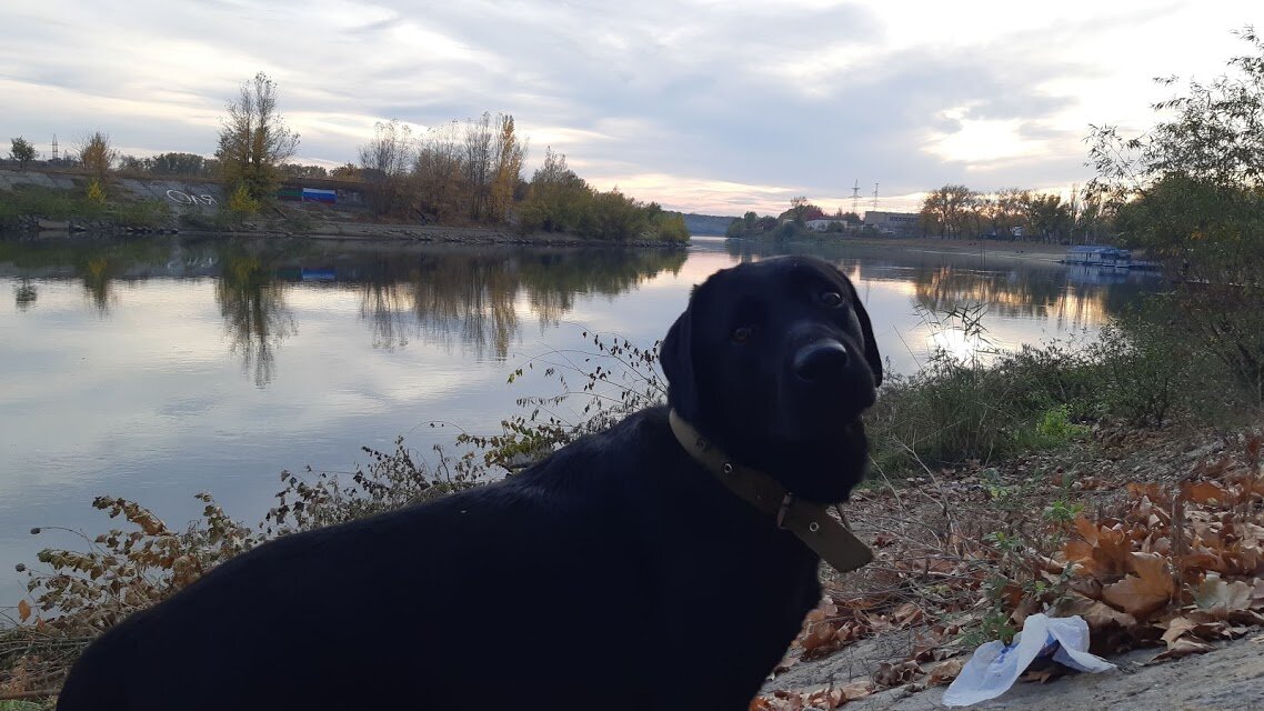 Это мы с ним на р. Днестр