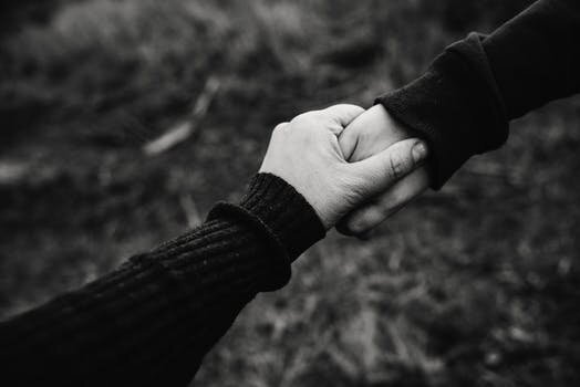 фото с сайта www.pexels.com