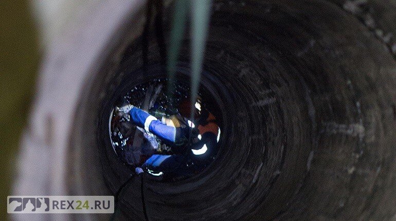 Фото: vk.com/koshkispas