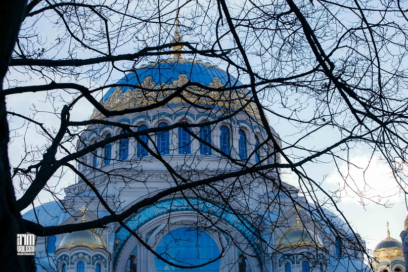 Секс в большом городе, сдать анализ крови на ЗППП - цены в ИНВИТРО