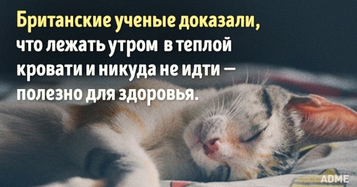 Картинка как упоительно валяться по утрам
