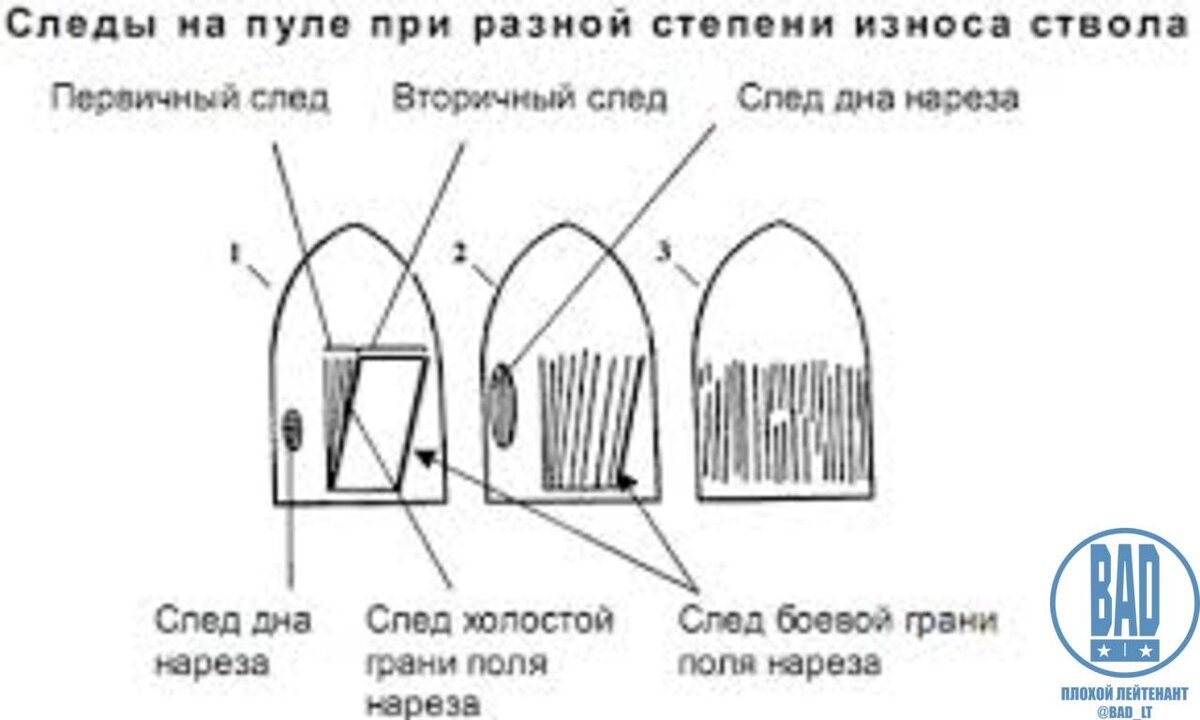 Осмотрите пулю и гильзу измерьте и обозначьте на рисунке их калибры