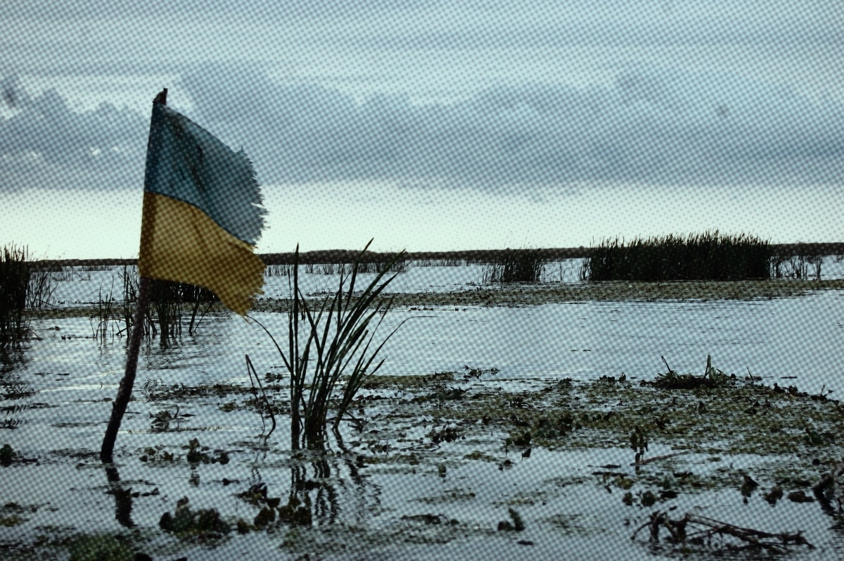 Подписывайся на канал и ставь лайк. Так ты поможешь развитию канала. Заранее спасибо! 