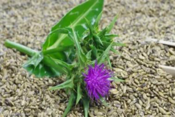 Источник: https://www.google.ru/imgres