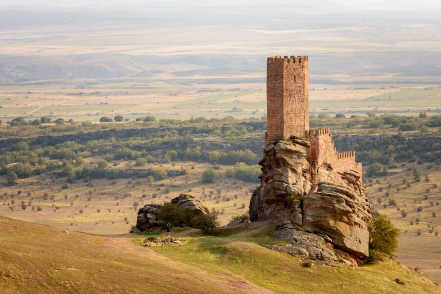 Фото: Amadeo AV/Shutterstock.com