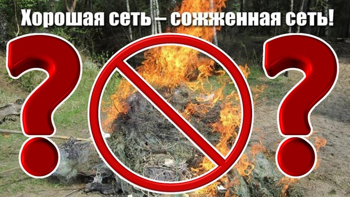 Фото для оформления заметки с https://yandex.ru/images