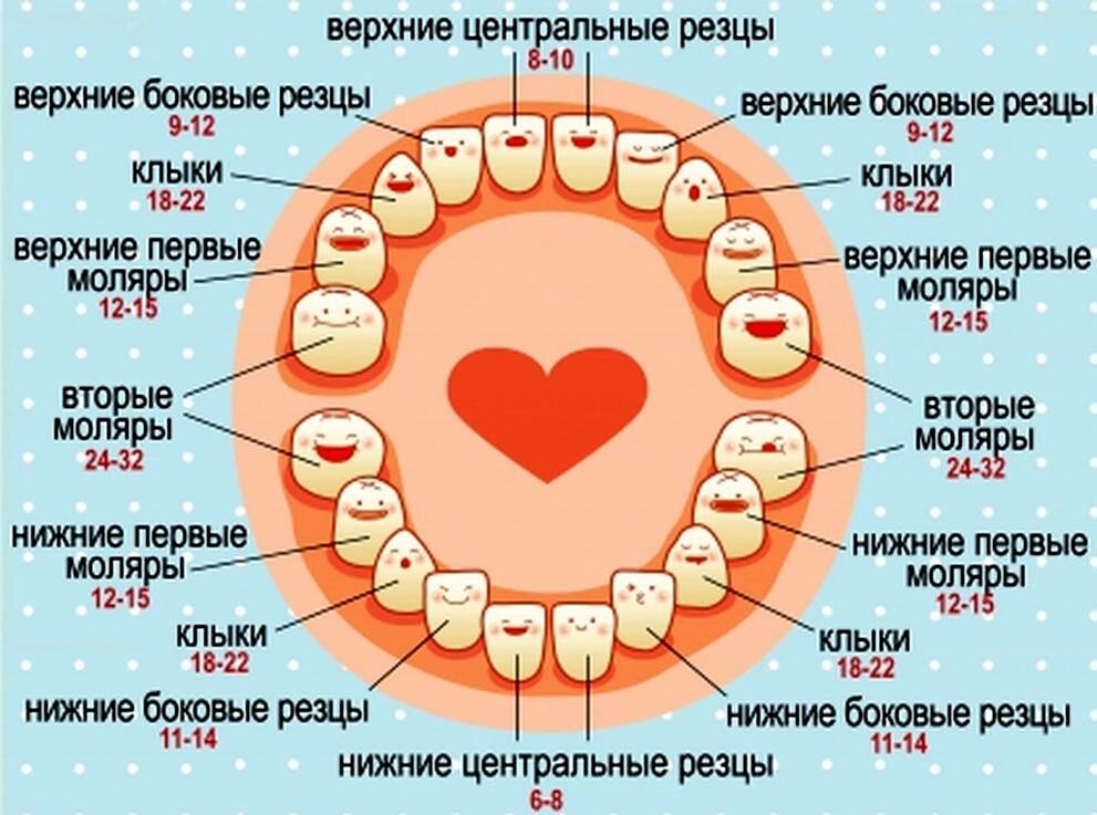 Прорезывание зубов у детей и у грудничков