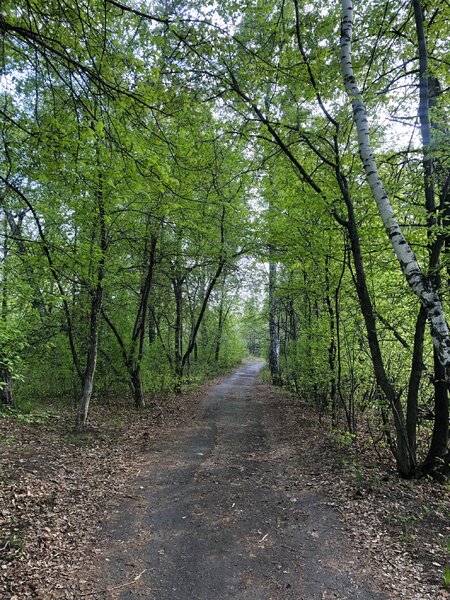 Заброшенный пансионат в городском парке ?