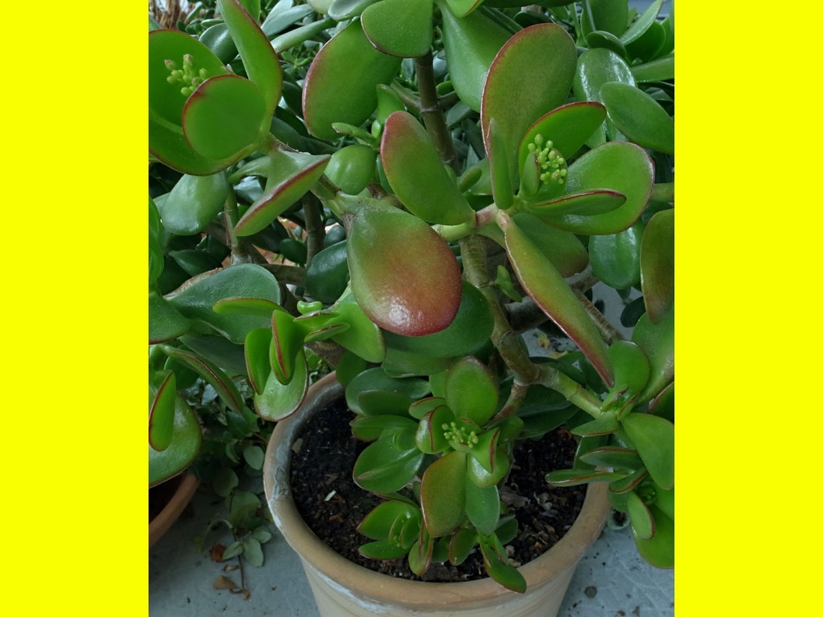 Фото взято с яндекс картинок с целью иллюстрации