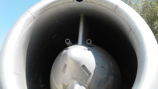 Прожорливый зверь