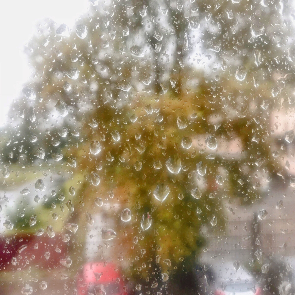 Фото личное