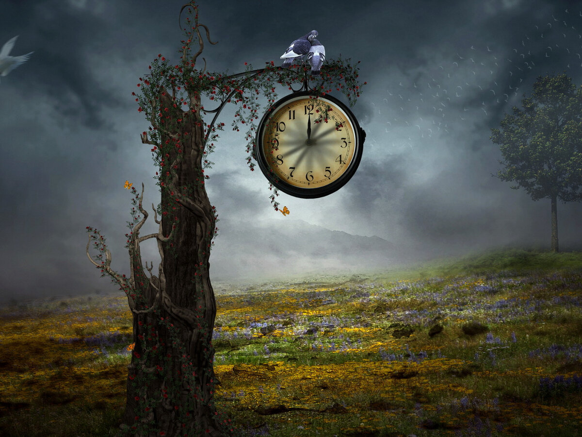 Фото из открытых интернет-источников  