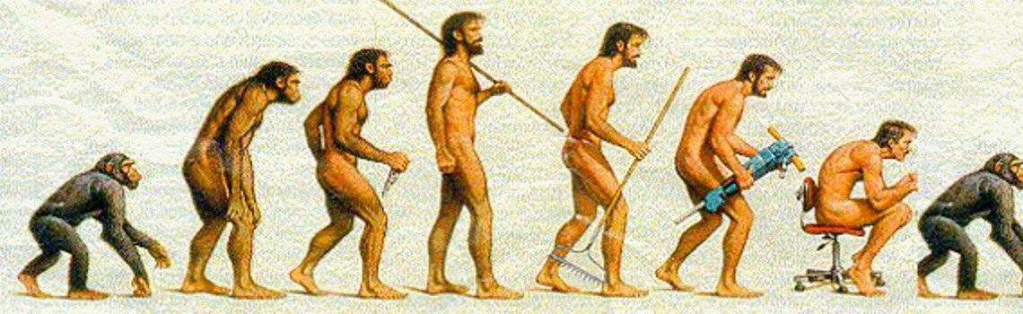 Результаты прямохождения