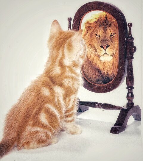 Сама уверенность😄