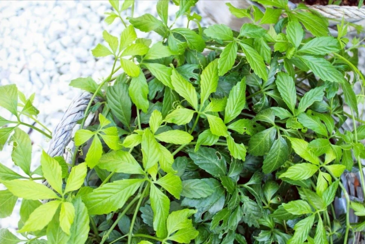 Source: https://www.pinterest.ru/pin/496803402626325673/