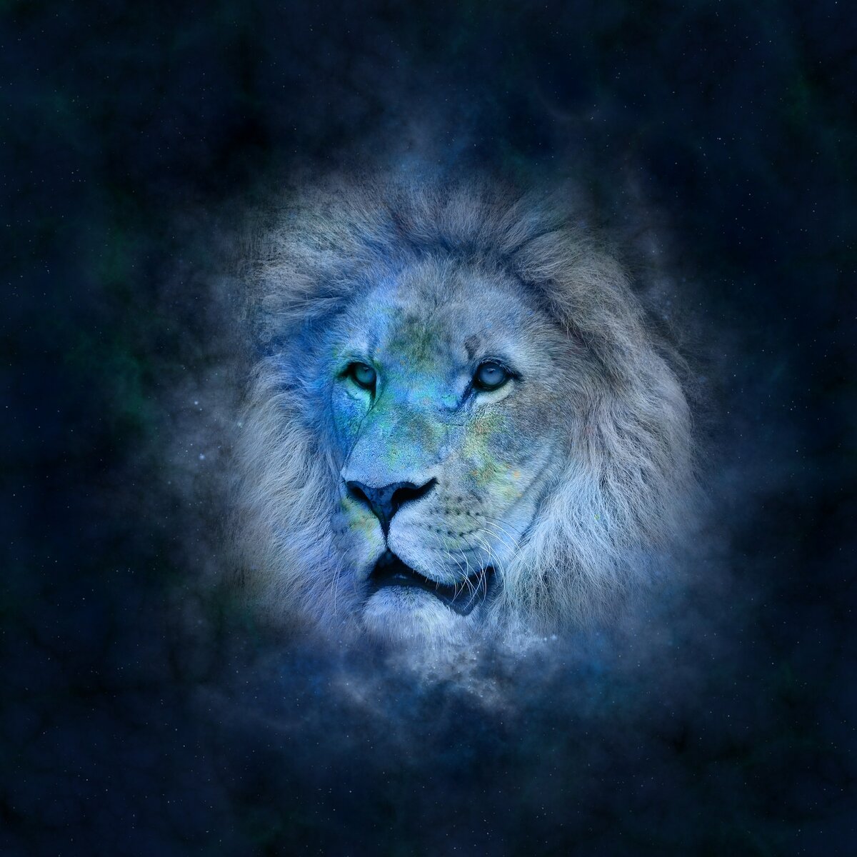 https://pixabay.com/images/id-639123/