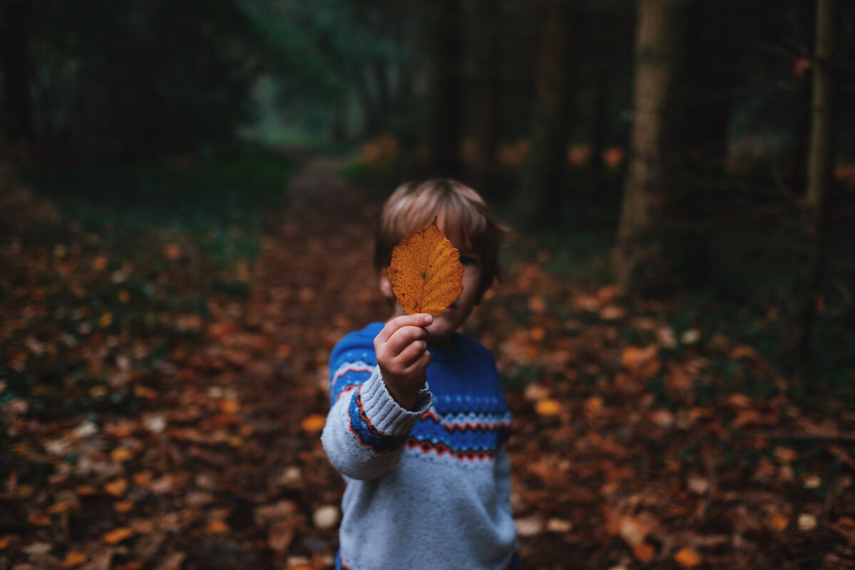 Photo by Annie Spratt
