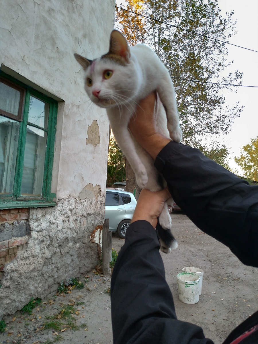 Теперь все тебя знают в лицо.