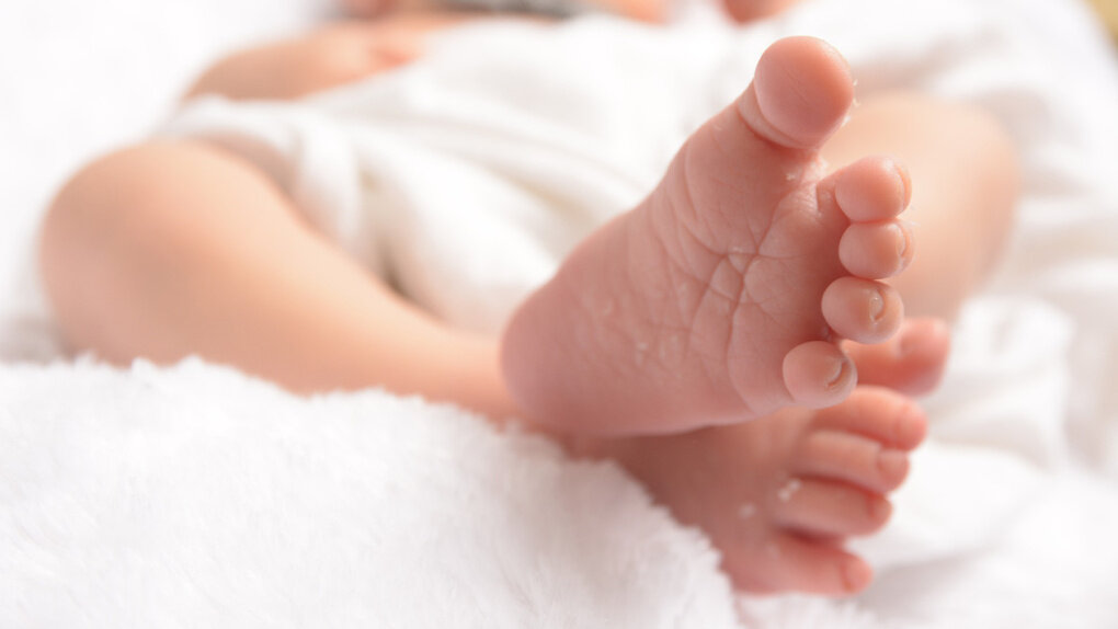  Фото: pixabay.com