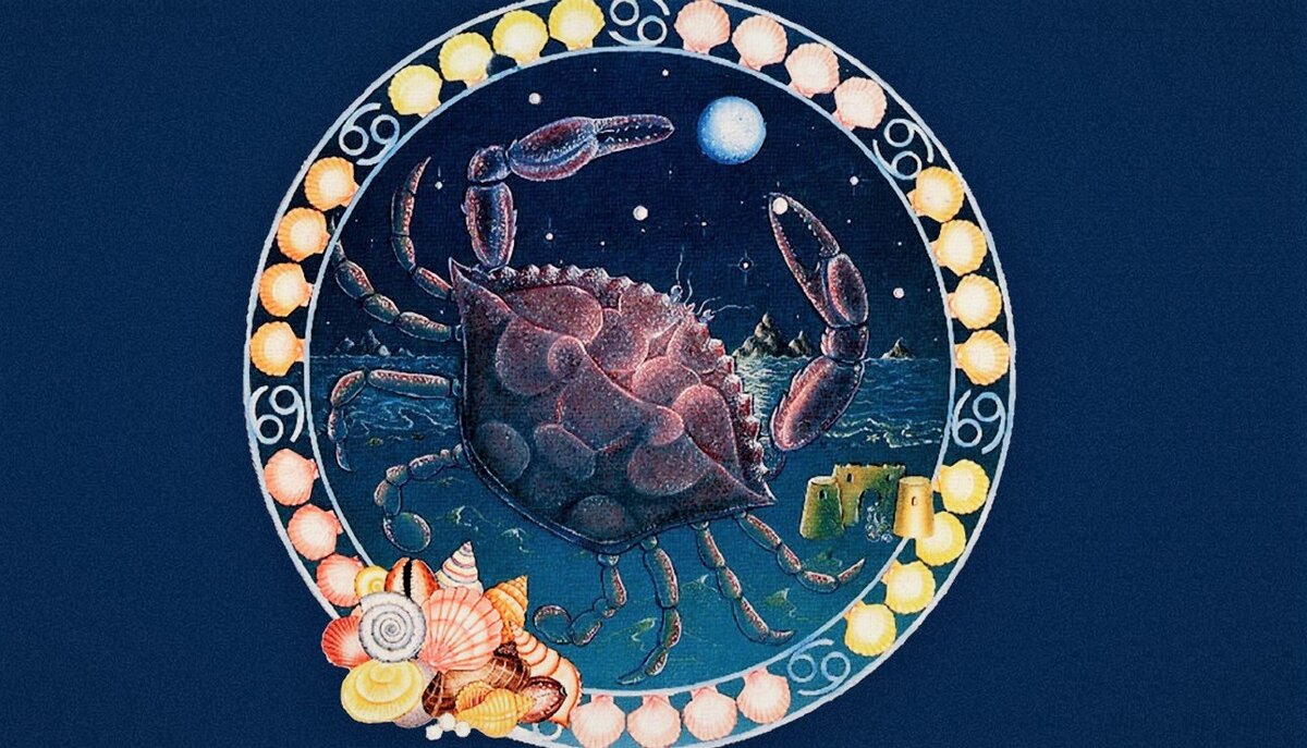 Фото из открытых источников yandex.ru