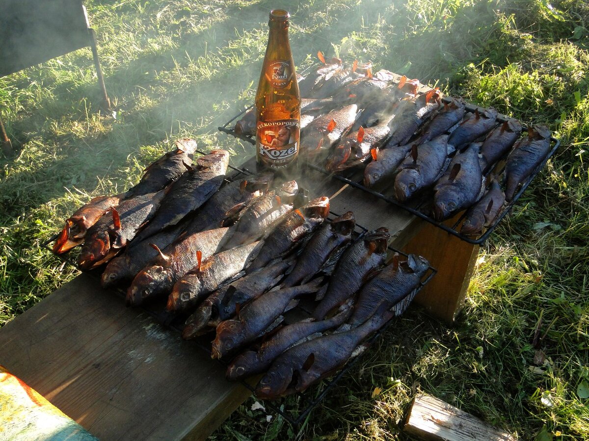 опченый окунь ))) К