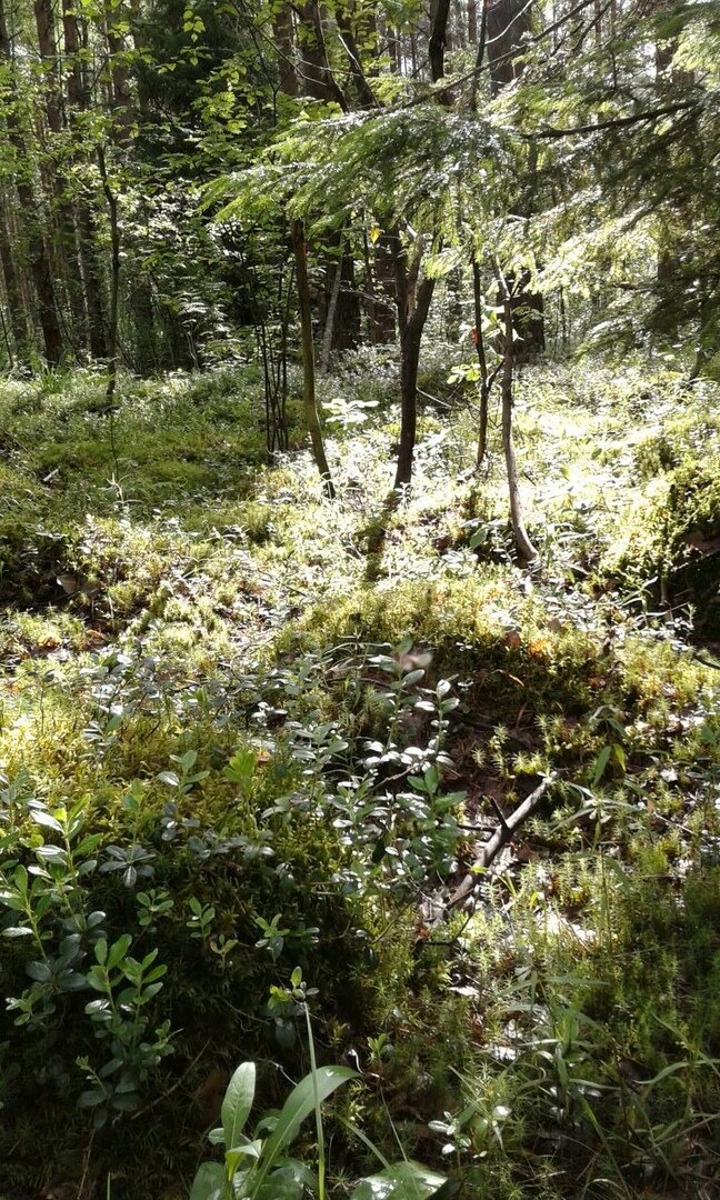                                                                      Фото автора статьи