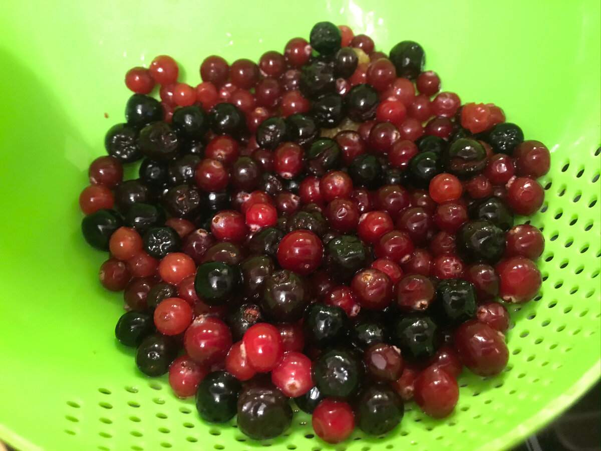 Источник: фото автора. zen.yandex.ru/mamagotovit_vkusno