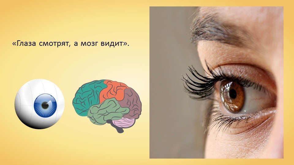 Яндекс картинки