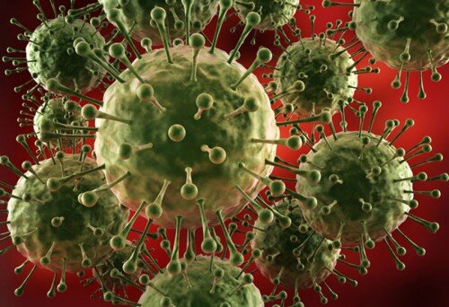 Вирус гриппа под микроскопом