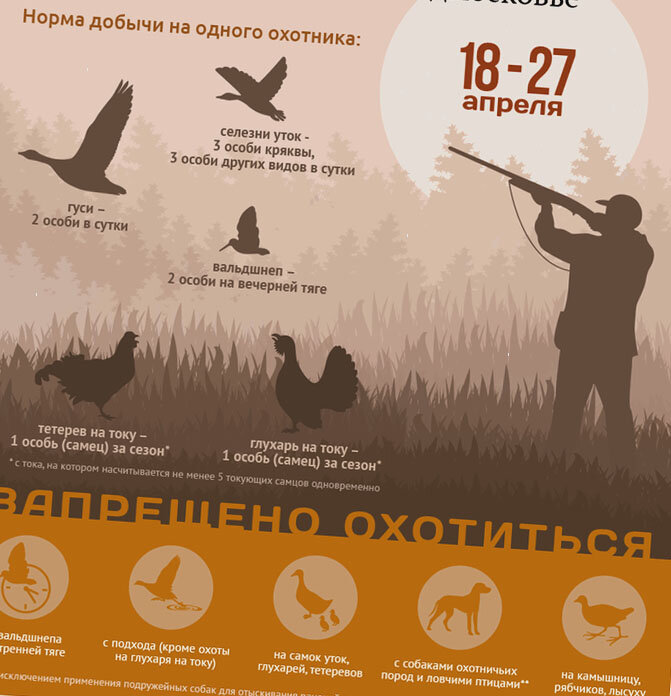 Дорогие друзья подписывайтесь на мой канал,ставьте лайки и оставляйте комментарии