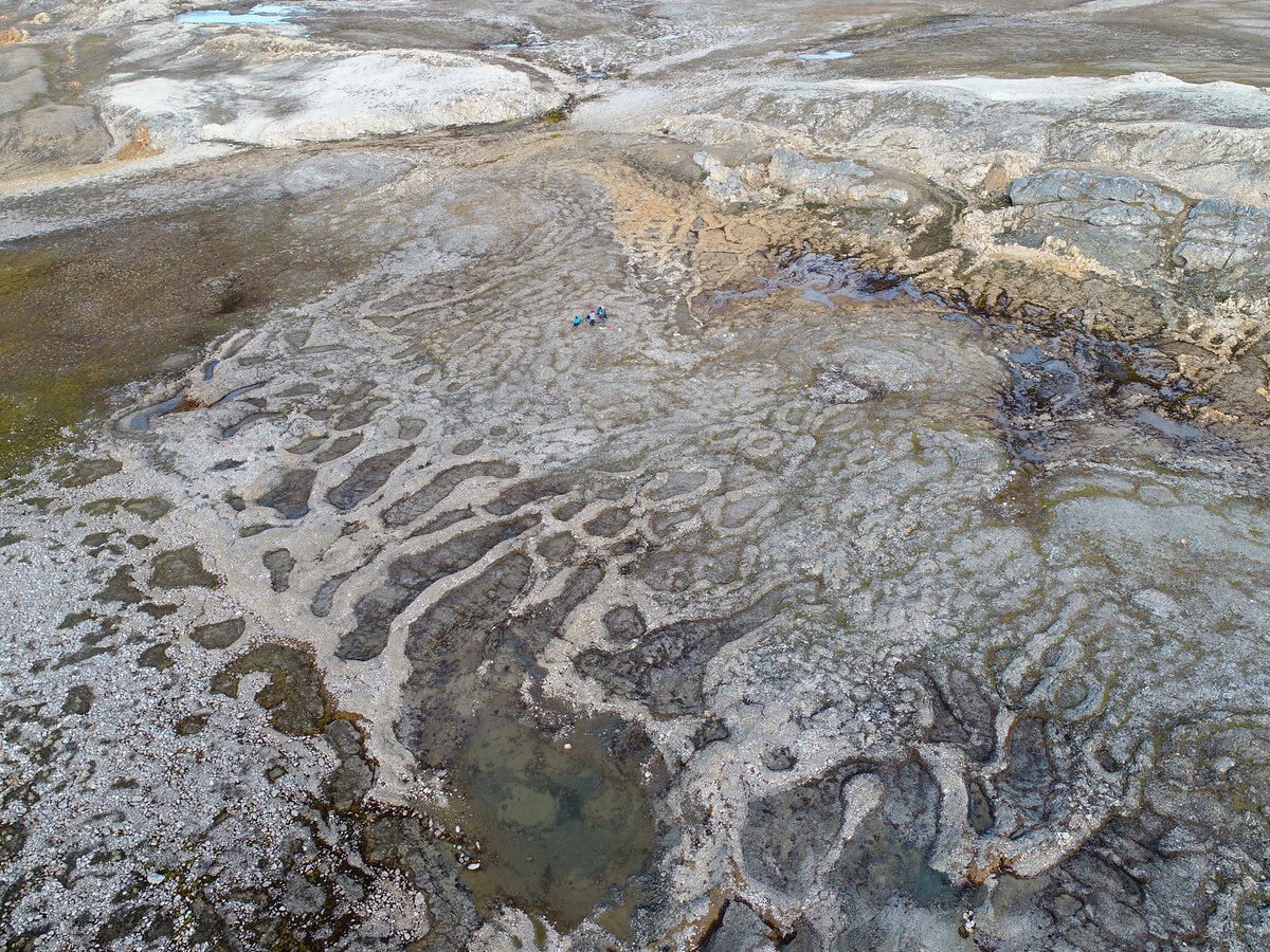 Формы мерзлотной сортировки грунтов — каменные кольца на архипелаге Шпицберген. Полевые работы проведены в составе РАЭ-Ш ААНИИ, снимок с БПЛА. Пилотирование и фотографии Александра Кизякова