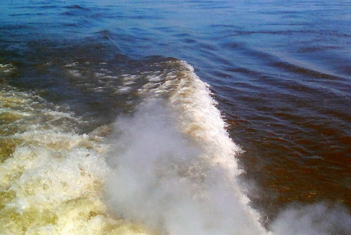 Из личного фотоархива