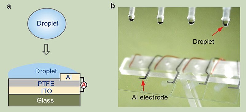 (Wanghuai et al., Nature, 2020)