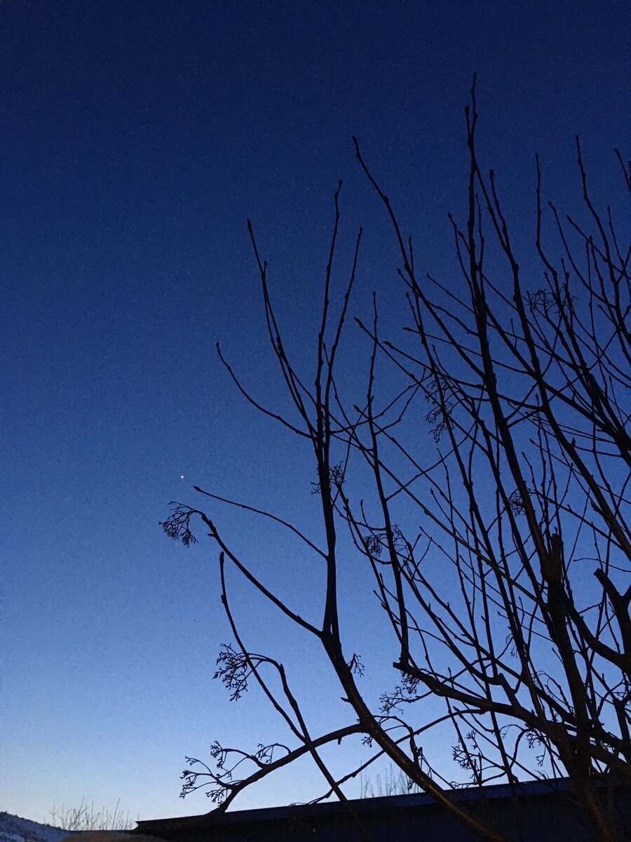 Вечернее небо