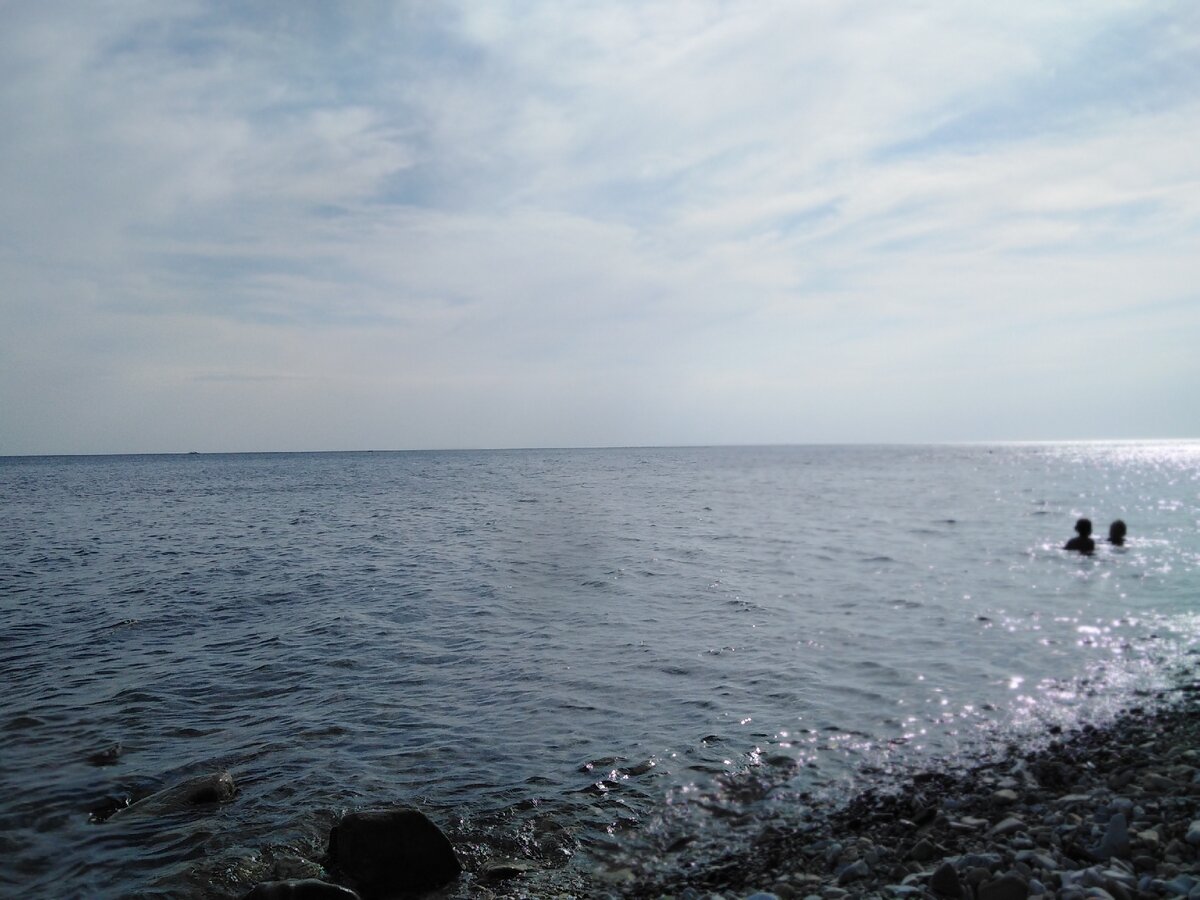 Море тёплое, прозрачное, встретили 3 дельфинов 